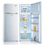 سهم ثلاجة بابين