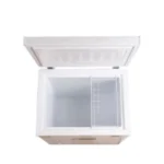 سمارت اليكتريك فريزر ارضي