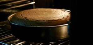 ميرلس فرن بلت ان