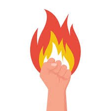 فريش فرن 4 عيون