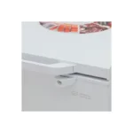 جنرال سوبريم فريزر