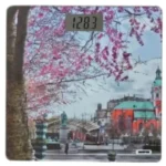 جيباس ميزان رقمي