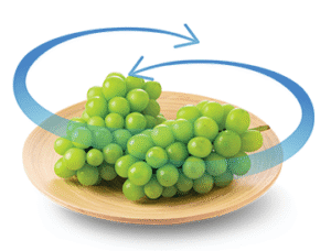 هام ثلاجة صغيرة